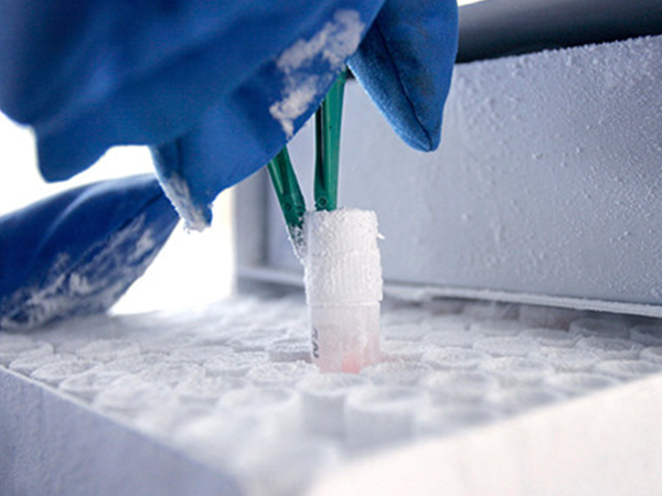 金沙集团www3354cc教你如何选择冷冻食品不干胶标签？